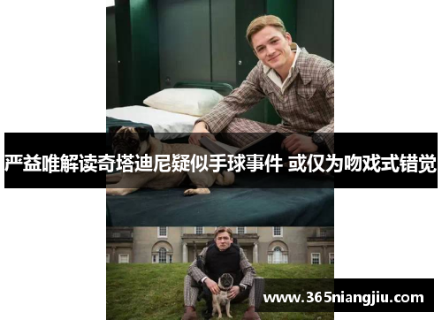 严益唯解读奇塔迪尼疑似手球事件 或仅为吻戏式错觉